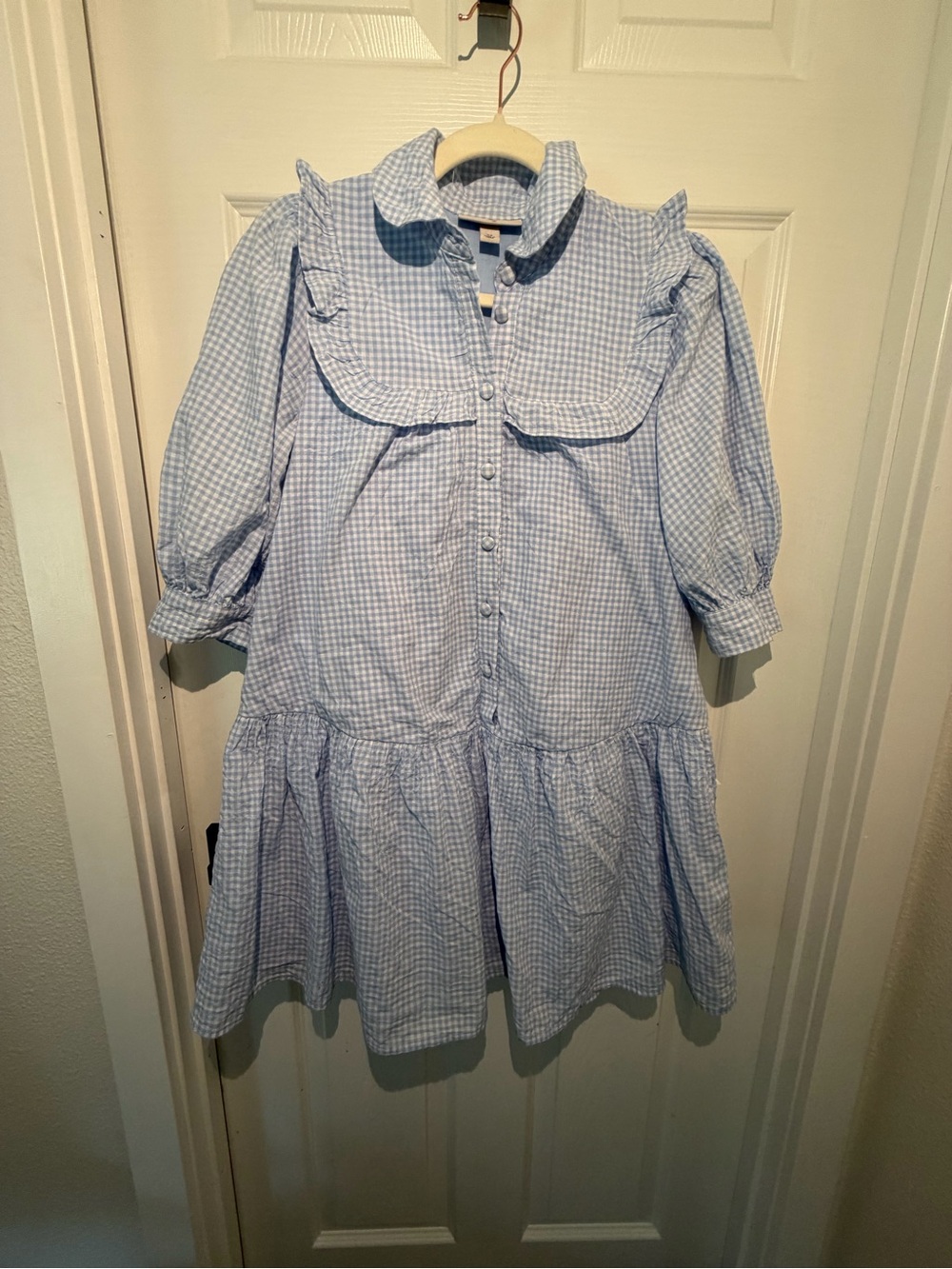 Sandy Liang Light Blue Gingham Ruffle Collar Dress